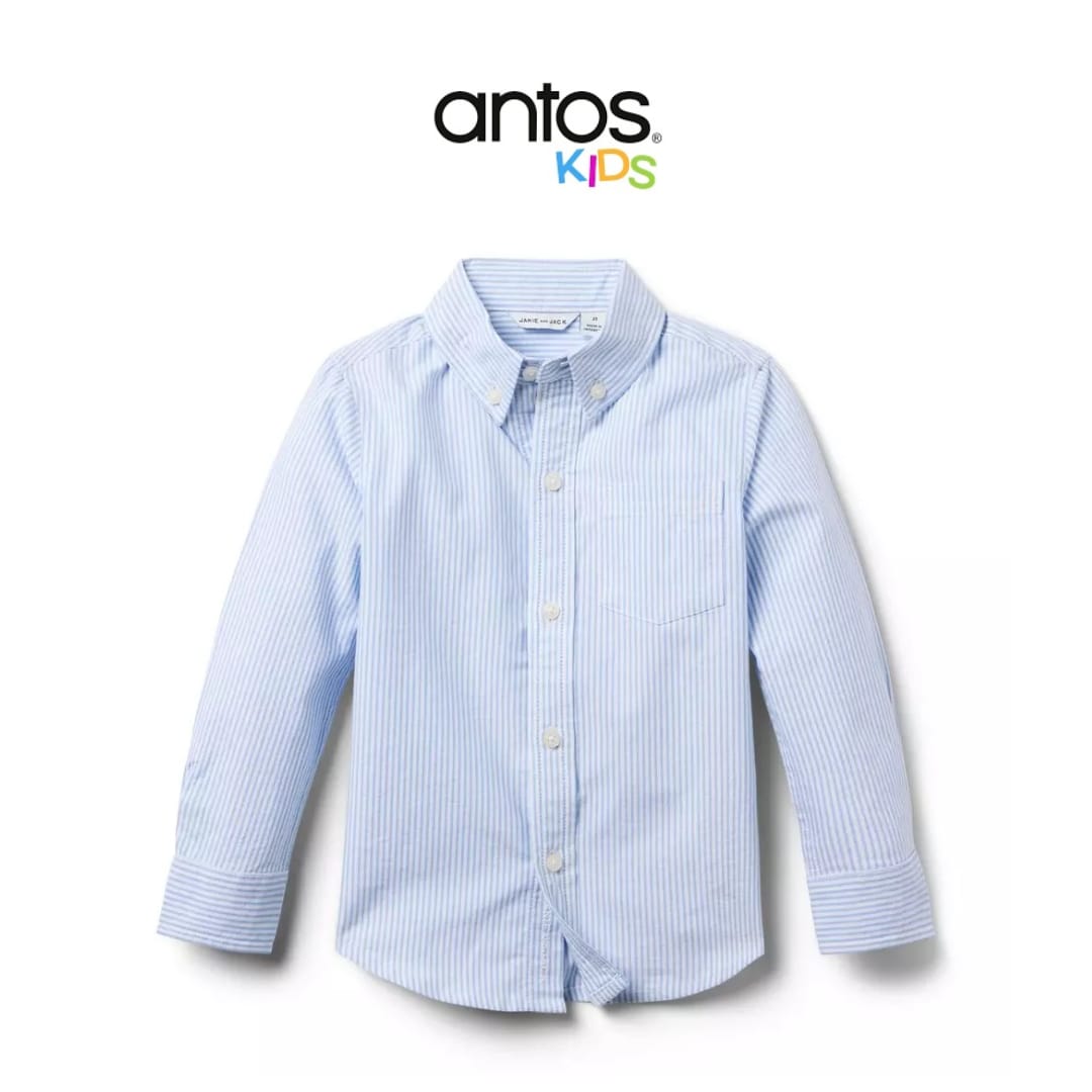 The Striped Oxford Shirt