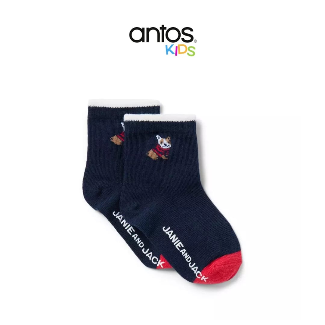 Baby French Bulldog Sock