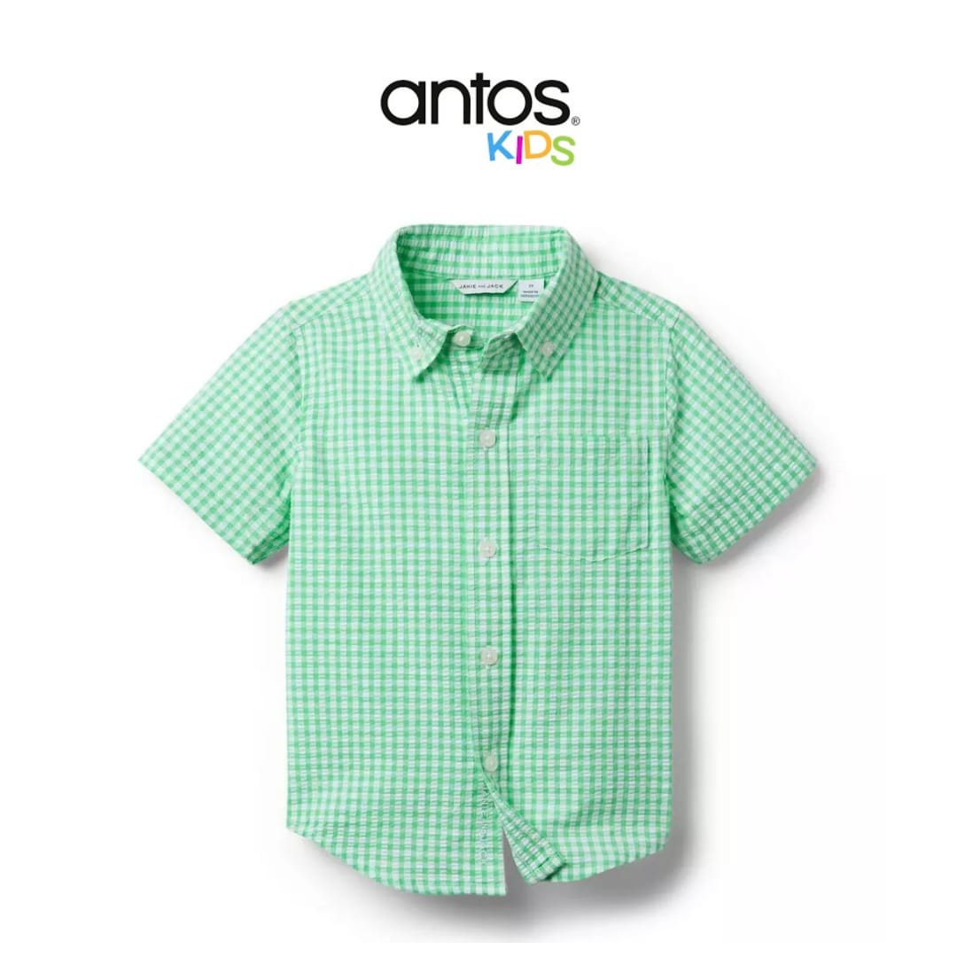 Gingham Seersucker Shirt