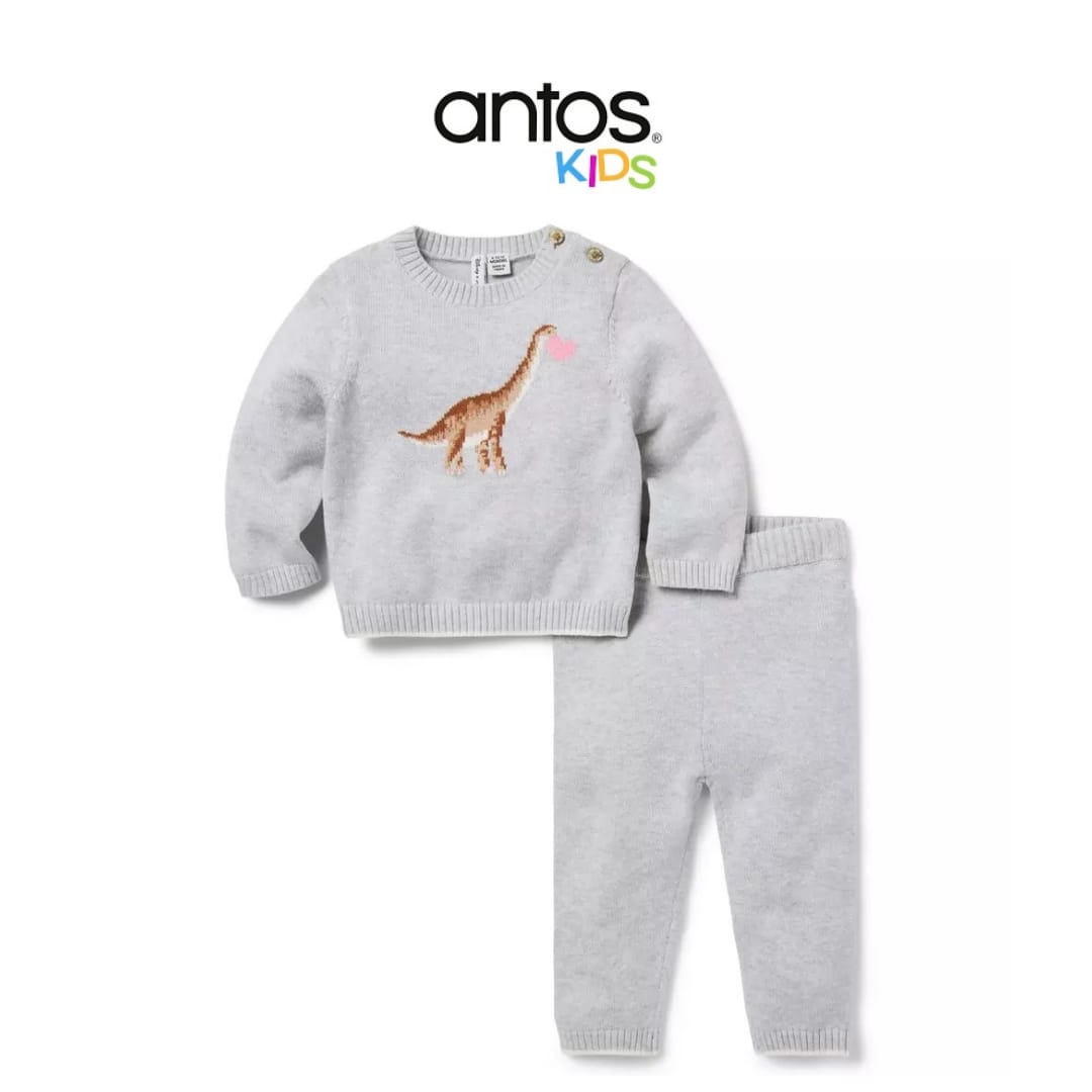 Baby Dinosaur Heart Matching Sweater Set