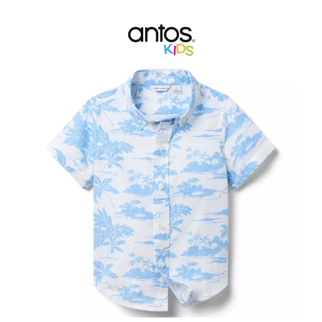 Island Toile Linen-Cotton Shirt