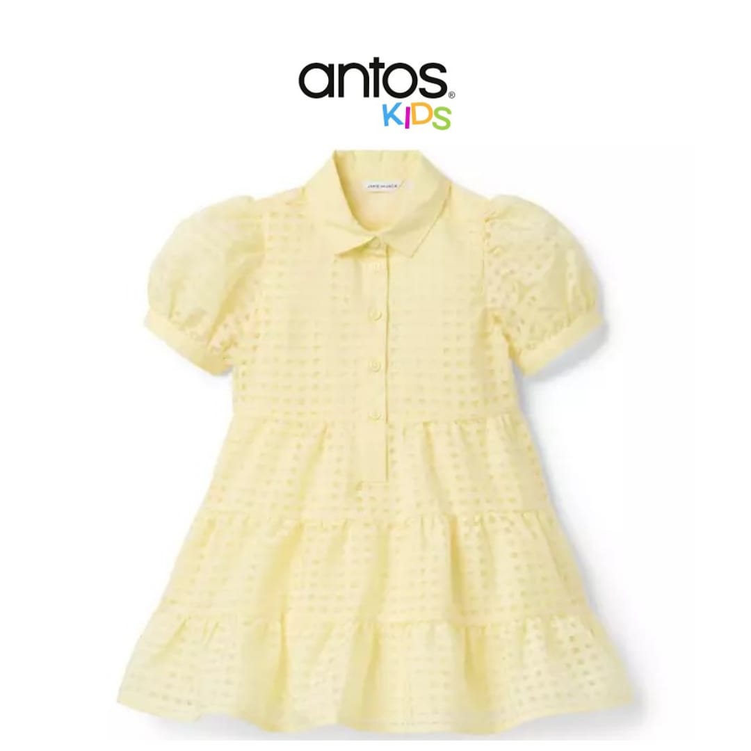 Checked Organza Dress