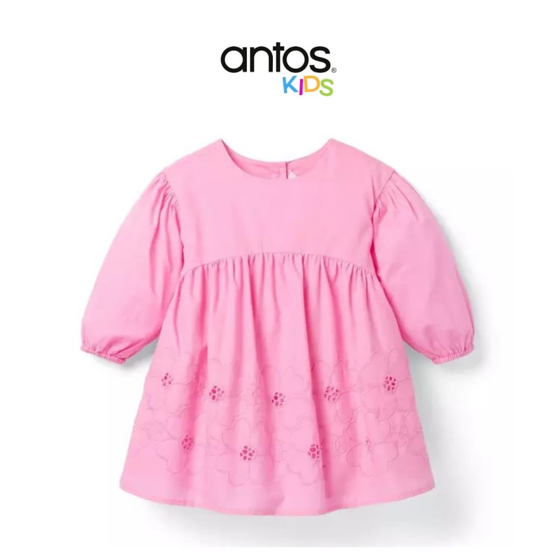 Embroidered Floral Puff Sleeve Dress