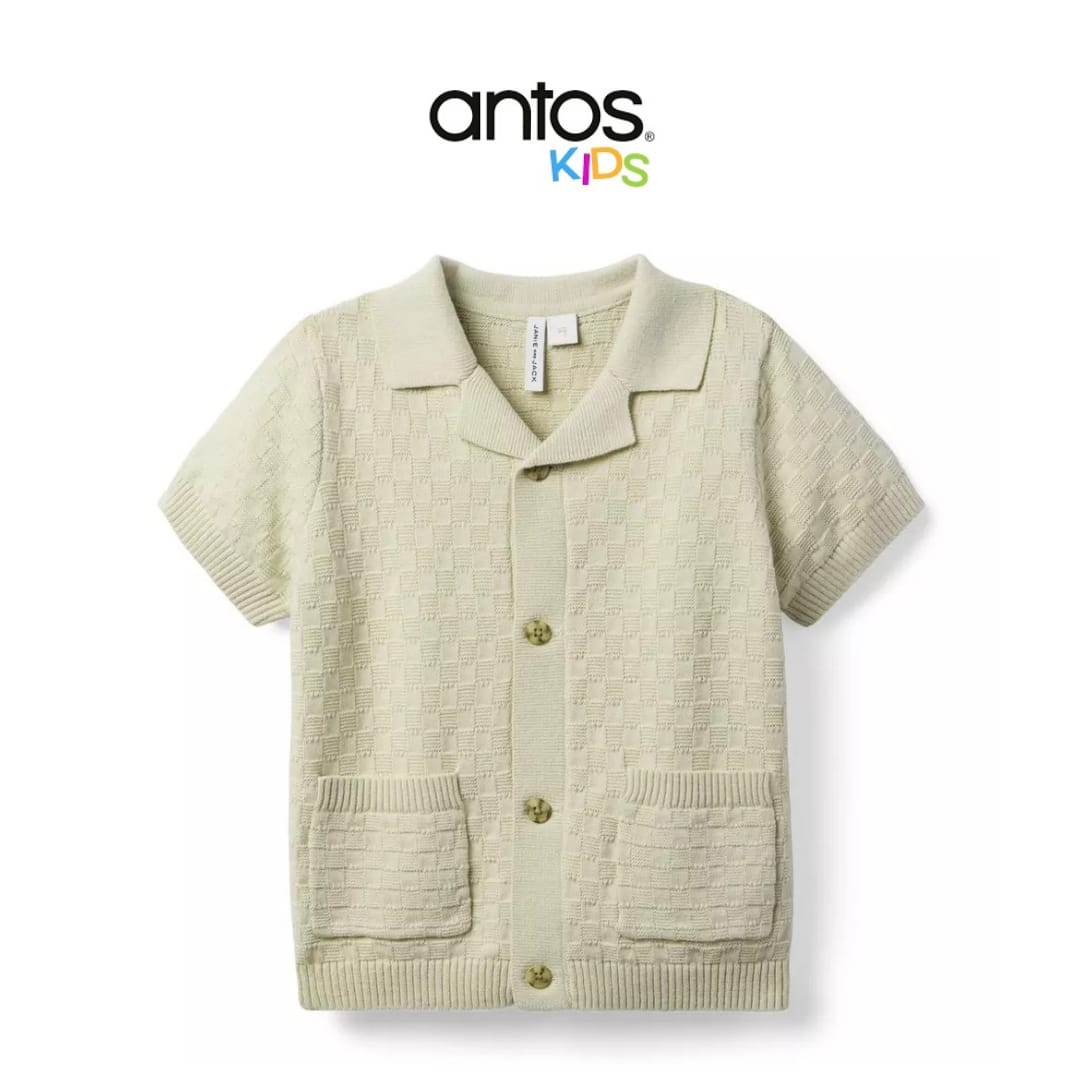 Textured Knit Collared Sweater