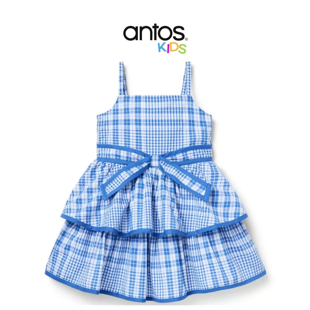 The Plaid Perfect Dress