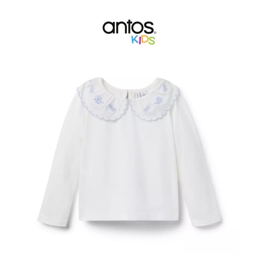 Embroidered Collar Top