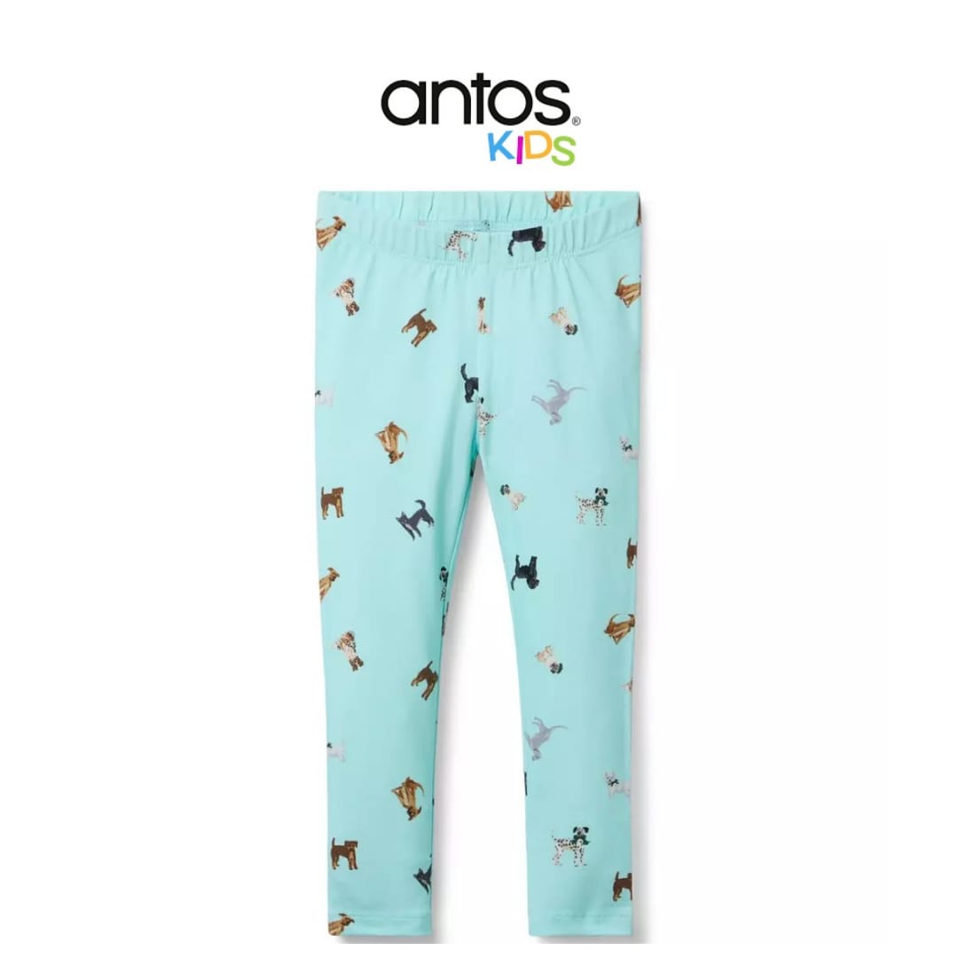 The Everyday Legging