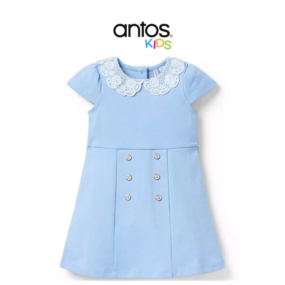 Lace Collar Ponte Dress