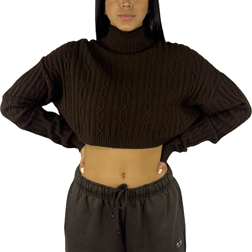 Cable Knit Cropped Winter Bliss Turtlene