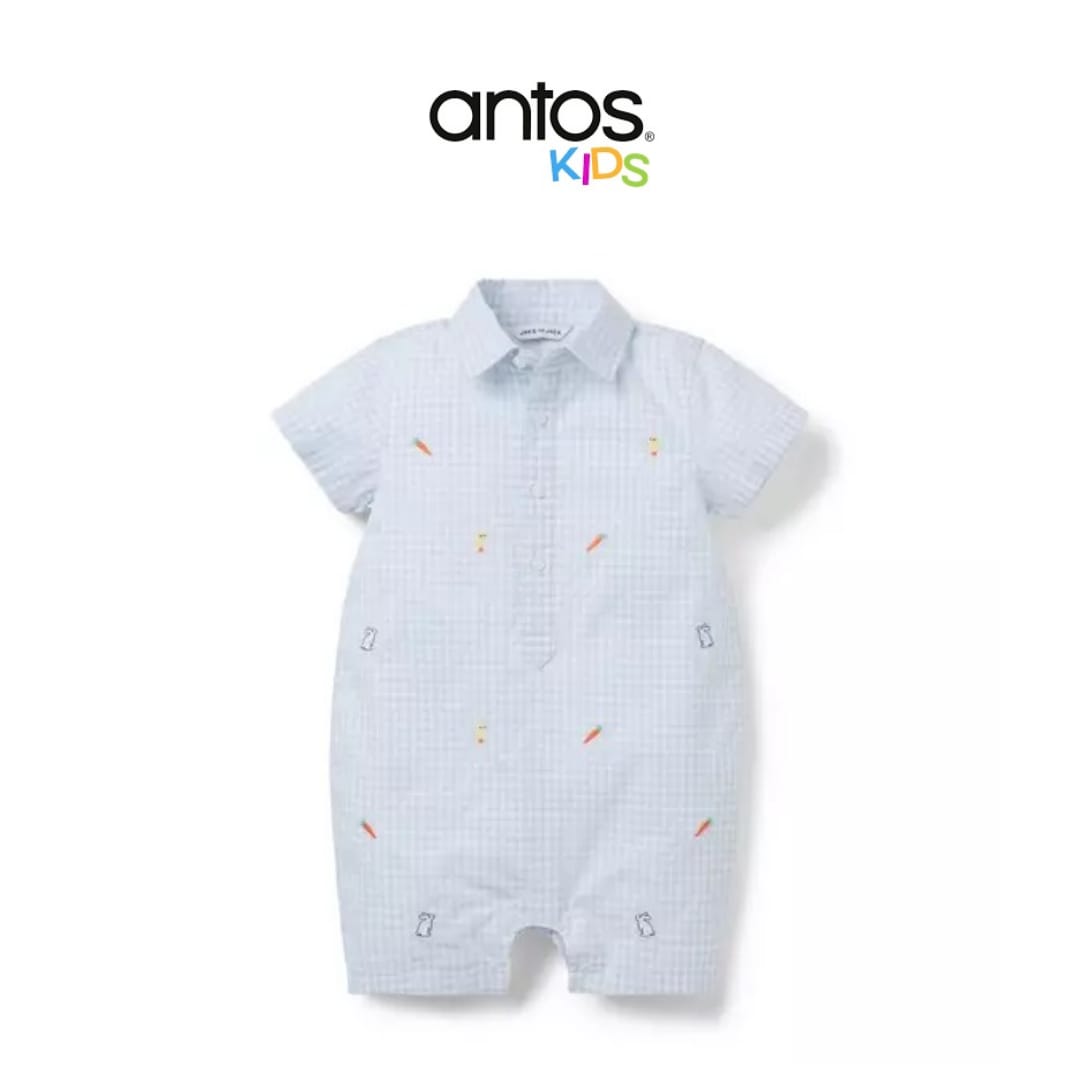 The Gingham Garden Baby Romper