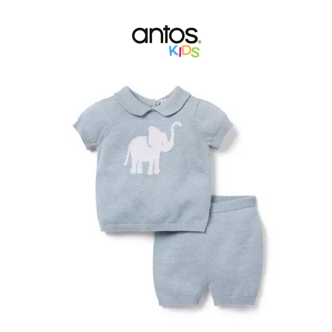 Baby Elephant Matching Sweater Set
