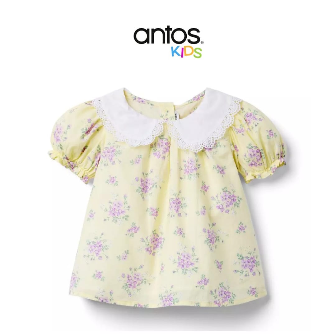 Floral Lace Collared Top