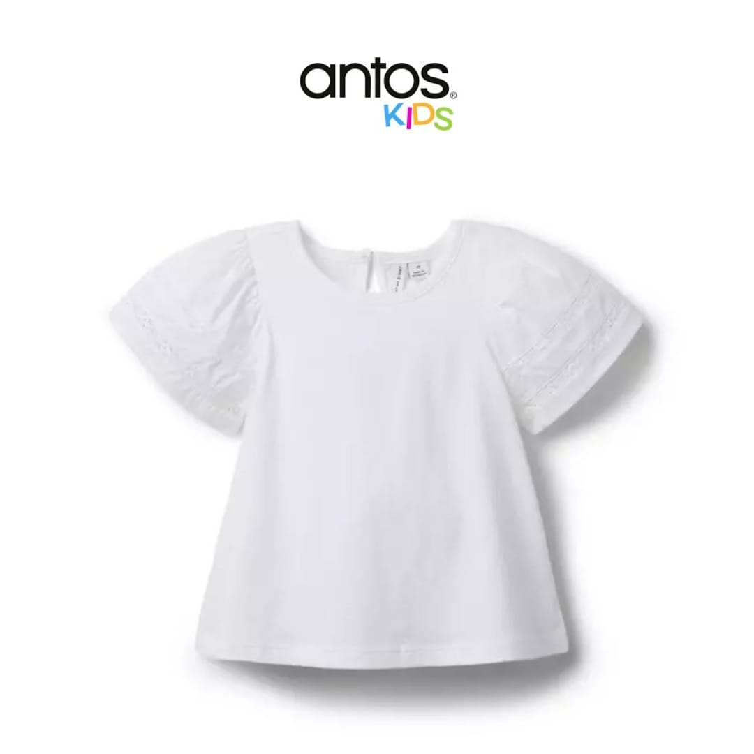 Lace Trim Puff Sleeve Top