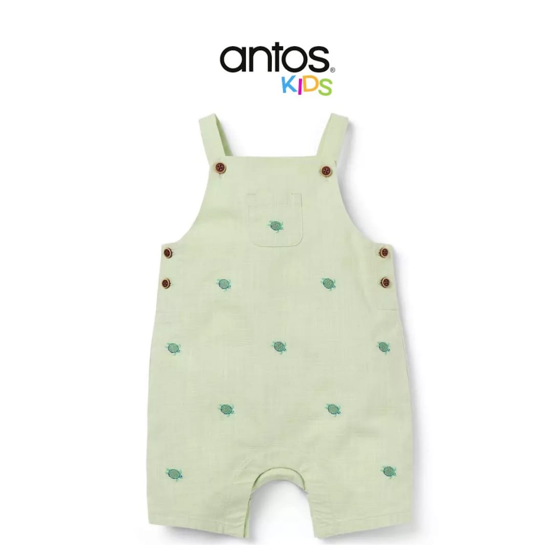 Baby Sea Turtle Overall