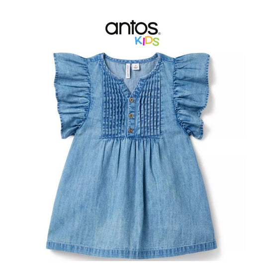 Chambray Ruffle Sleeve Dress