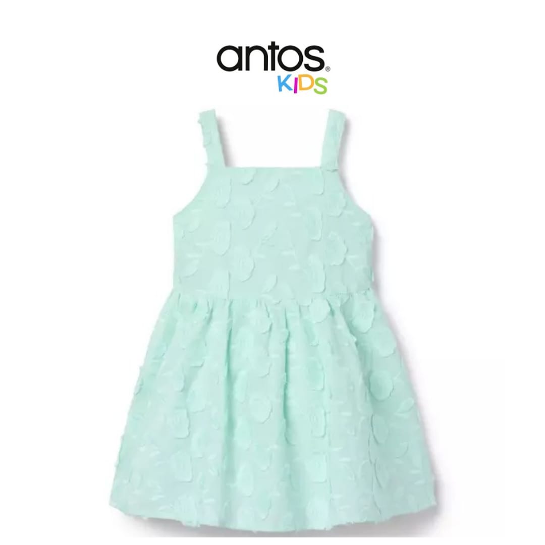 Floral Appliqu Dress