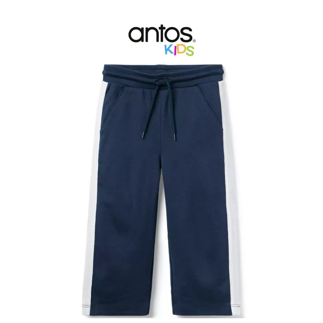 The Stripe Wide Leg Ponte Pant