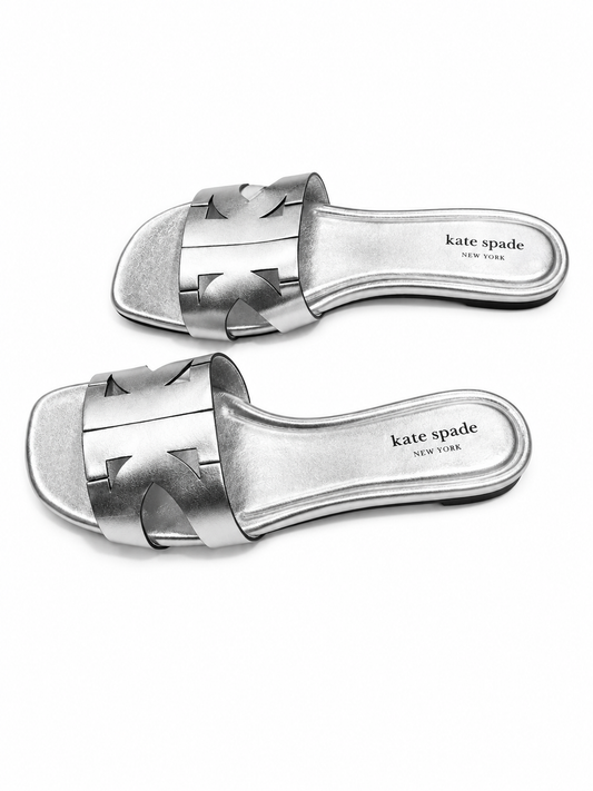 Duo Slide Silver 5   B