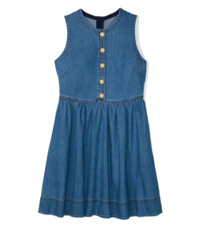 Denim Fit & Flare Dress