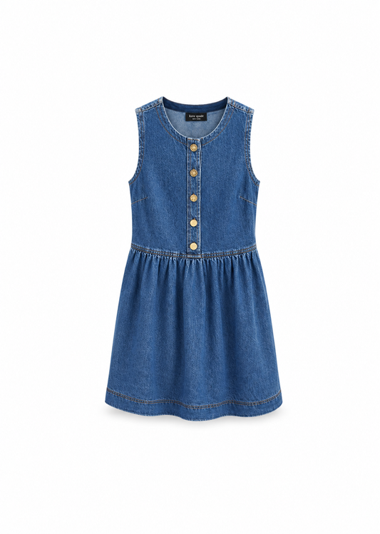 Denim Fit And Flare Dress