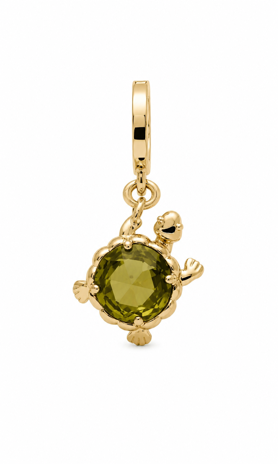 One In A Million Turtle Charm
