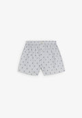 Scskull Boxer