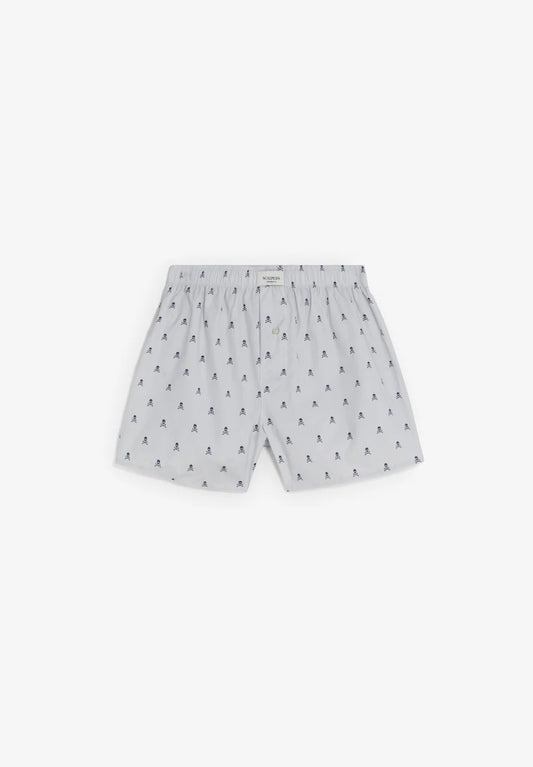 Scskull Boxer